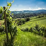 여관 Weingut Essgut Schlafgut Sabathihof-dillinger *