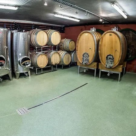 Weingut Essgut Schlafgut Sabathihof-dillinger
