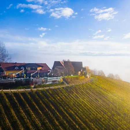 宾馆 Weingut Essgut Schlafgut Sabathihof-dillinger Glanz an der Weinstraße