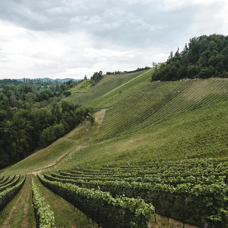 Weingut Essgut Schlafgut Sabathihof-dillinger Glanz an der Weinstraße