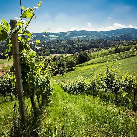 بيت ريفي Weingut Essgut Schlafgut Sabathihof-dillinger *