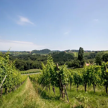 Weingut Essgut Schlafgut Sabathihof-dillinger بيت ريفي Glanz an der Weinstraße