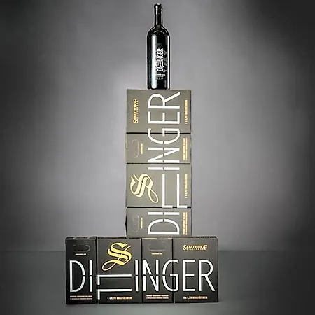 여관 Weingut Essgut Schlafgut Sabathihof-dillinger *