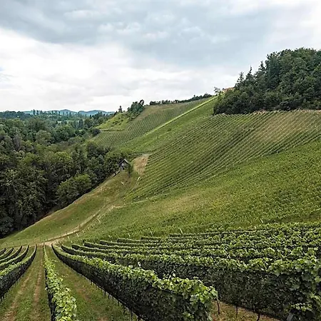 Weingut Essgut Schlafgut Sabathihof-dillinger Glanz an der Weinstraße