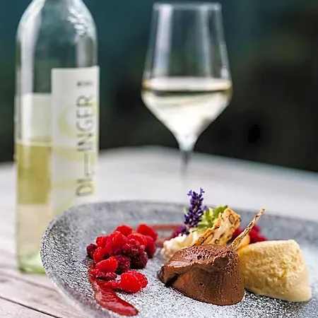Weingut Essgut Schlafgut Sabathihof-dillinger Penzion *