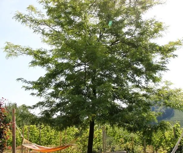 Weingut Essgut Schlafgut Sabathihof-dillinger Värdshus Glanz an der Weinstraße