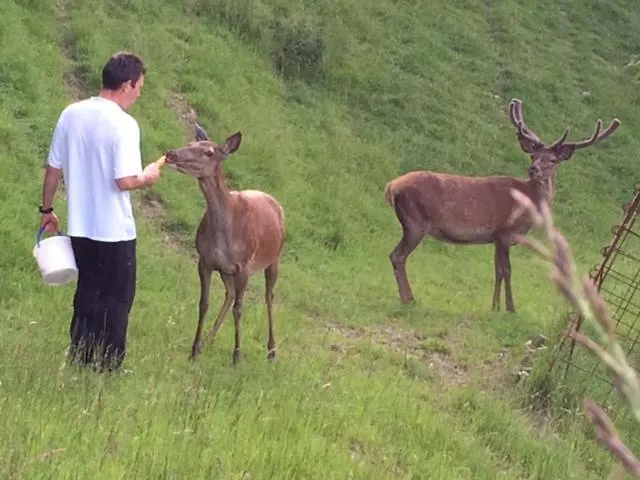 Weingut Essgut Schlafgut Sabathihof-dillinger * Glanz an der Weinstraße