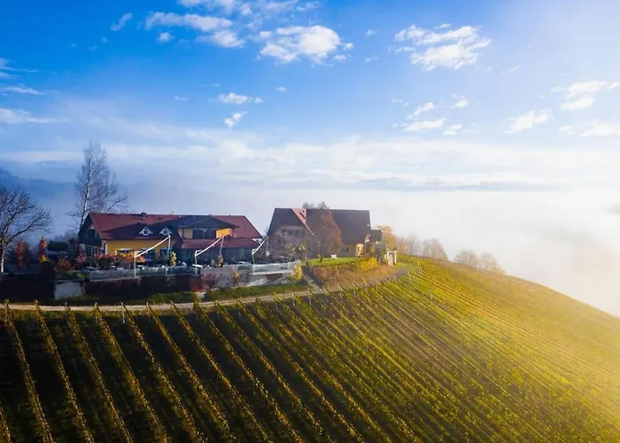 بيت ريفي Weingut Essgut Schlafgut Sabathihof-dillinger Glanz an der Weinstraße