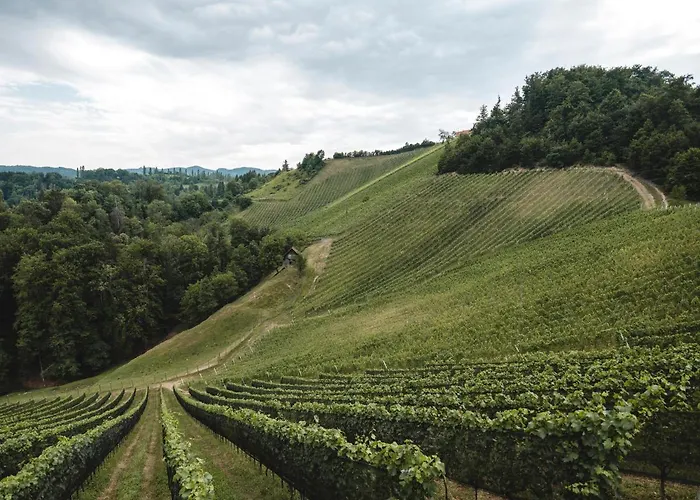Weingut Essgut Schlafgut Sabathihof-dillinger Glanz an der Weinstraße