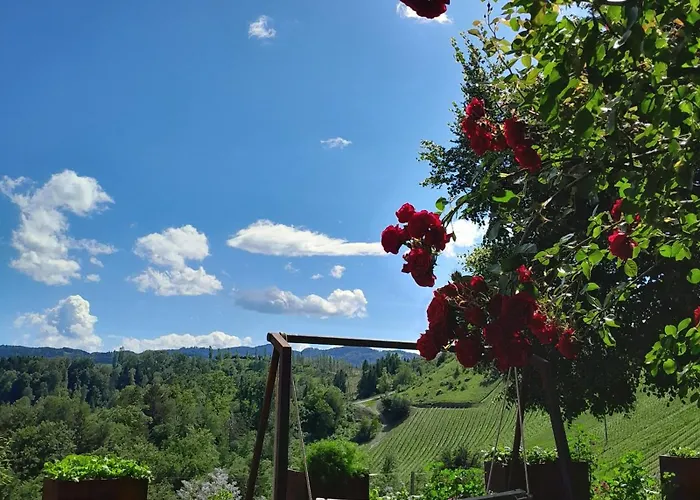 Värdshus Weingut Essgut Schlafgut Sabathihof-dillinger
