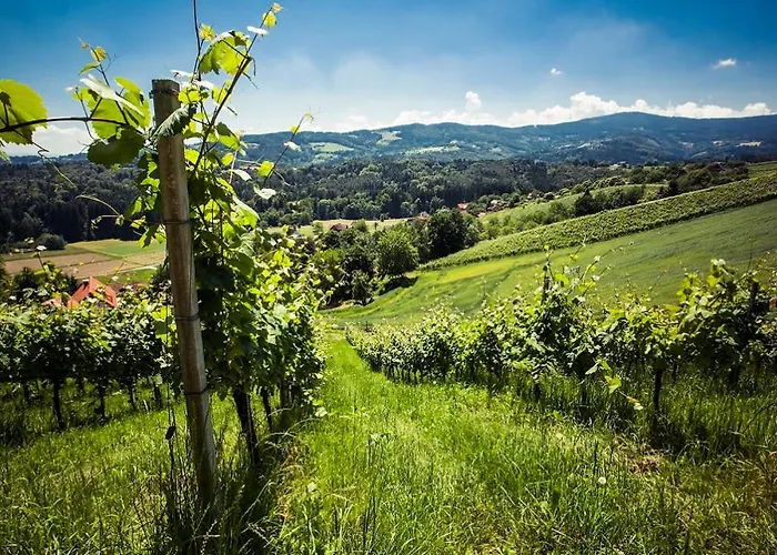 بيت ريفي Weingut Essgut Schlafgut Sabathihof-dillinger *