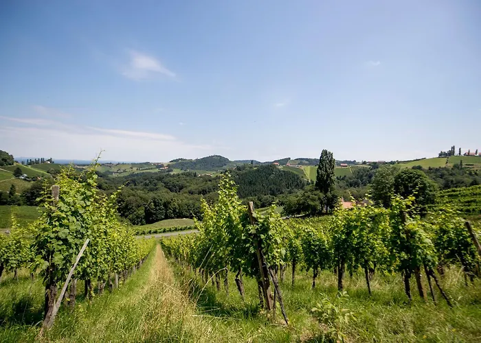 Weingut Essgut Schlafgut Sabathihof-dillinger Värdshus Glanz an der Weinstraße